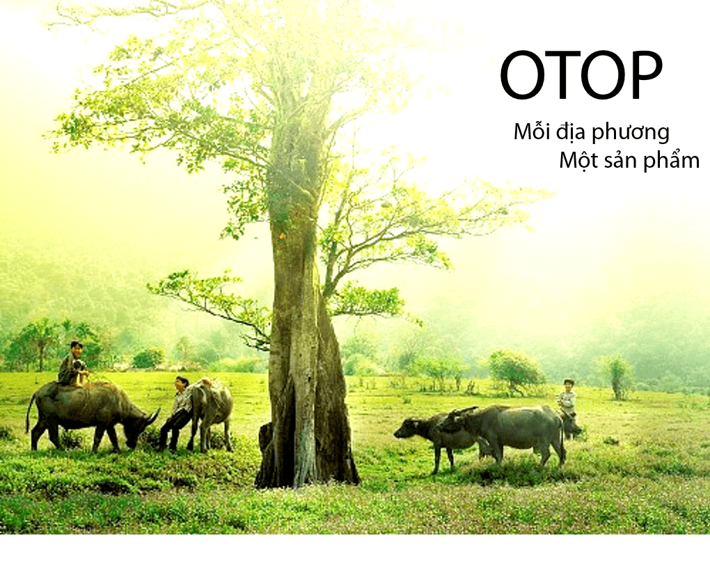 OTOP-Mỗi địa phương một sản phẩm